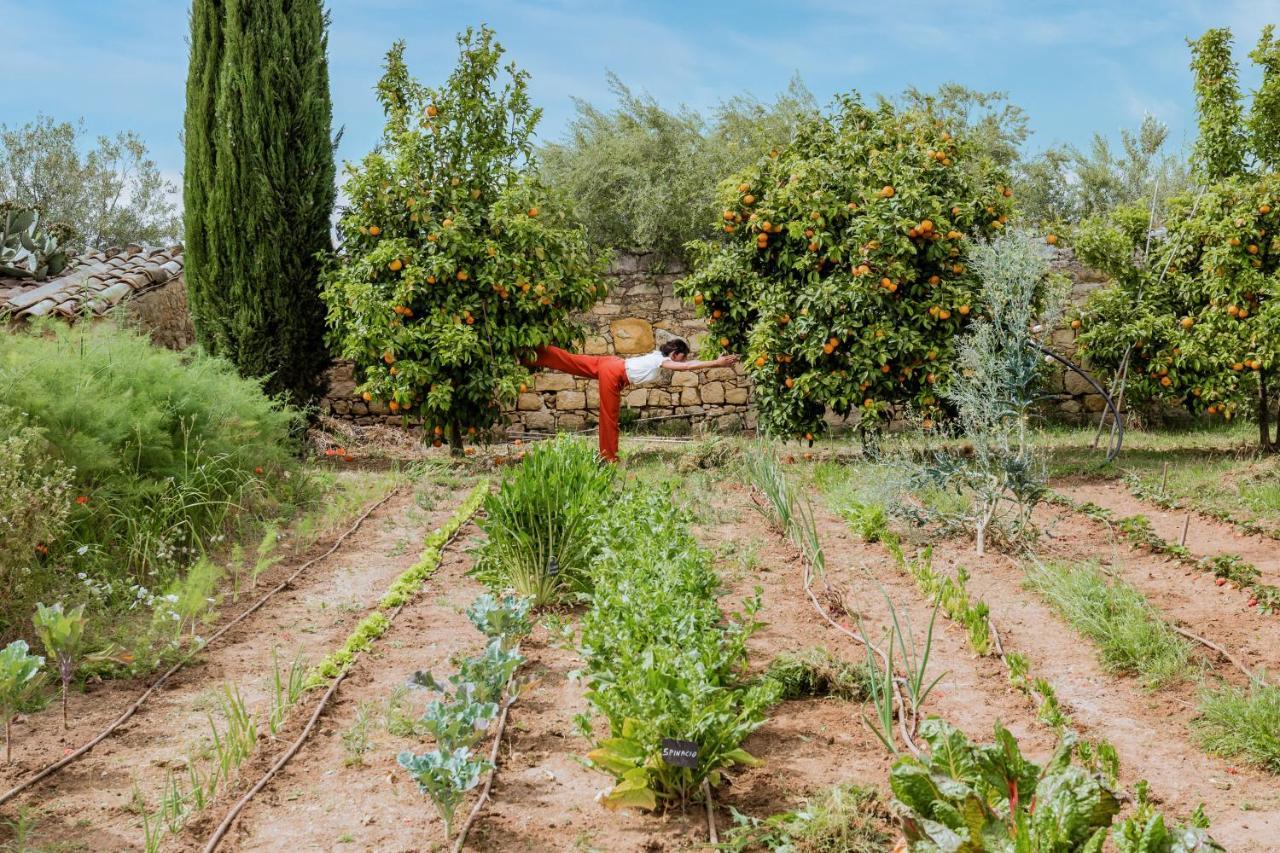 Baglio Occhipinti Villa Vittoria Bagian luar foto